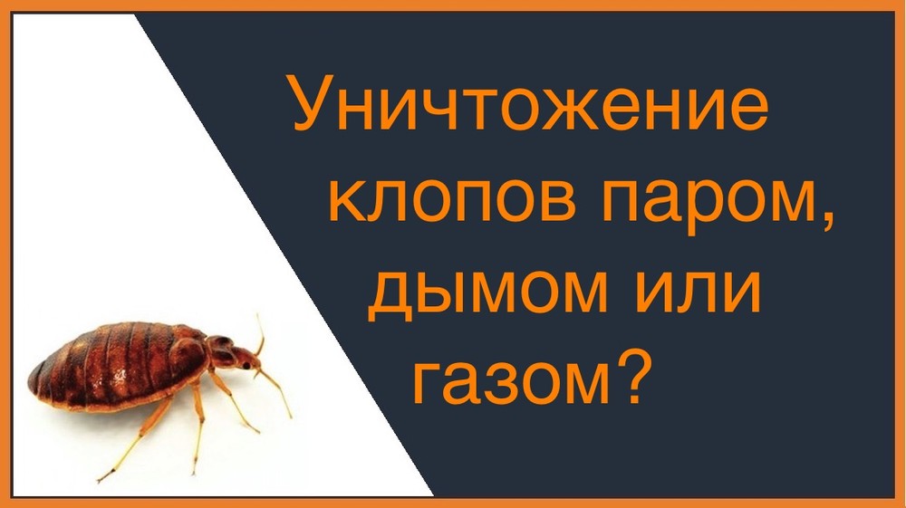 Уничтожение клопов паром, газом или дымом в Орле