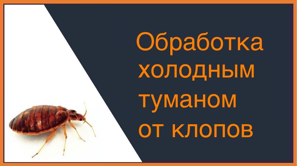 Обработка холодным и горячим туманом от клопов в Орле