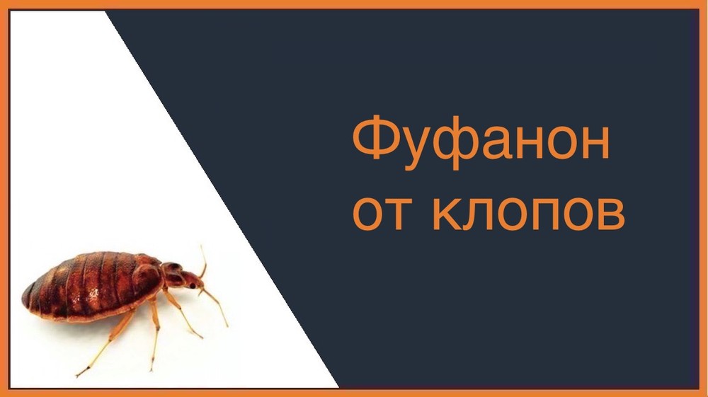 Фуфанон от клопов – Орёл